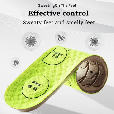 Wormwood Body Cleansing Health Insole